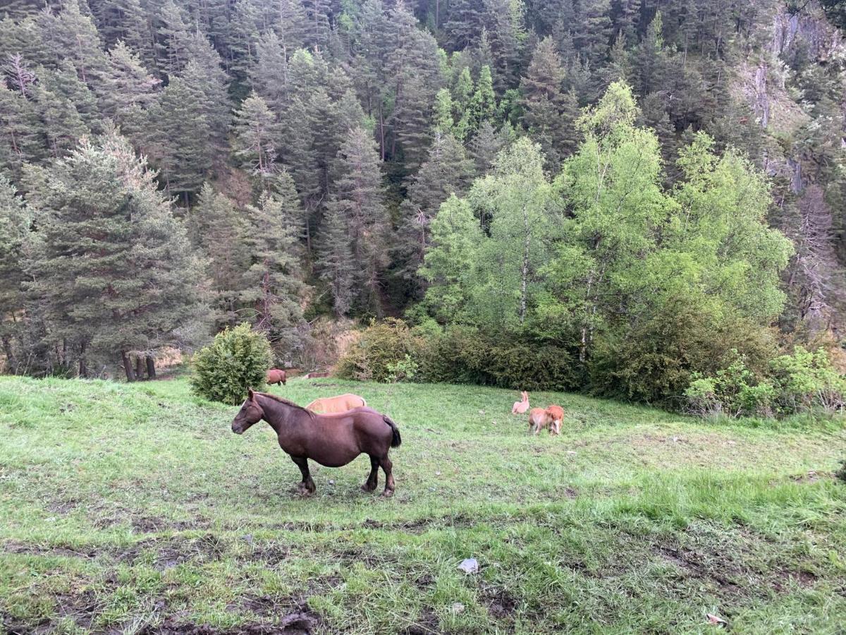 Maians - Peu Del Riu 122 - Vall D'Incles - Soldeu Екстер'єр фото